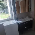 Zwei Buchen Brema